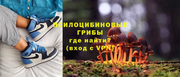 мдпв Бронницы