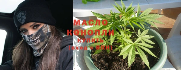 мдпв Бронницы
